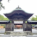 IMG_3989.jpg