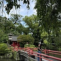 IMG_4005.jpg