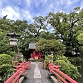 IMG_4009.jpg