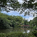 IMG_4011.jpg