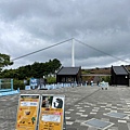 IMG_4027.jpg