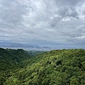 IMG_4065.jpg
