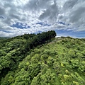 IMG_4063.jpg