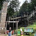 IMG_4073.jpg