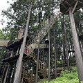IMG_4077.jpg