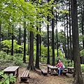 IMG_4084.jpg