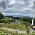 IMG_4087.jpg