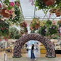 IMG_4165.jpg