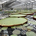 IMG_4829.jpg
