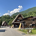 IMG_5504.jpg