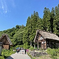 IMG_5511.jpg