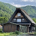 IMG_E5785.jpg