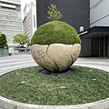 IMG_2692.jpg