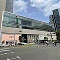 IMG_2956.jpg