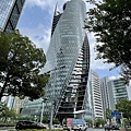 IMG_2955.jpg
