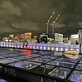 IMG_5204.jpg