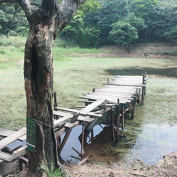 20180811新山夢湖8.jpg 20180811新山夢湖8.jpg