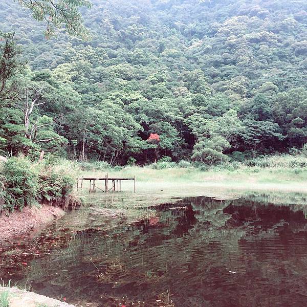20180811新山夢湖9.jpg 20180811新山夢湖9.jpg