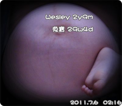 29w4d.JPG 29w4d.JPG