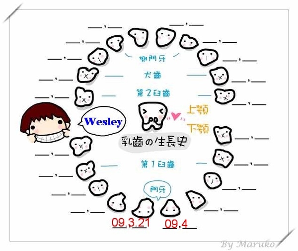 小白成長日記