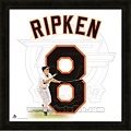 cal-ripken-jr-orioles-representation-of-the-player-s-jersey[1]