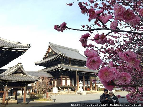 IMG_6906.JPG IMG_6906.JPG