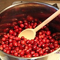 2012-10-07 11.05.07hamemadecranberryjam