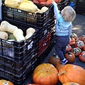 IMG_46272012pumpkin