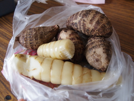 02車城福安宮02_山粉薯