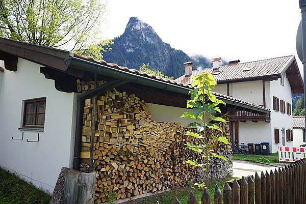 DSC07506.JPG DSC07506.JPG