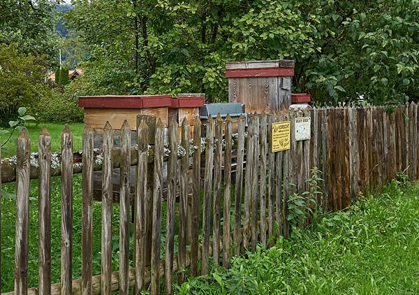 DSC07537_拉近.jpg DSC07537_拉近.jpg