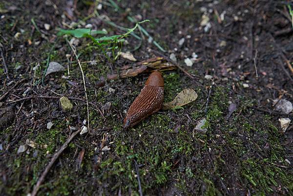 DSC07610.jpg DSC07610.jpg