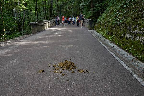 DSC07613.jpg DSC07613.jpg