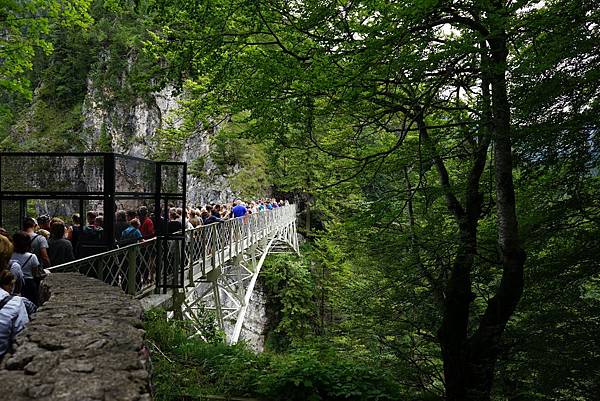 DSC07629 (1).JPG DSC07629 (1).JPG