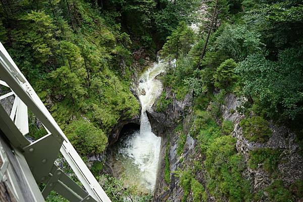 DSC07631.JPG DSC07631.JPG