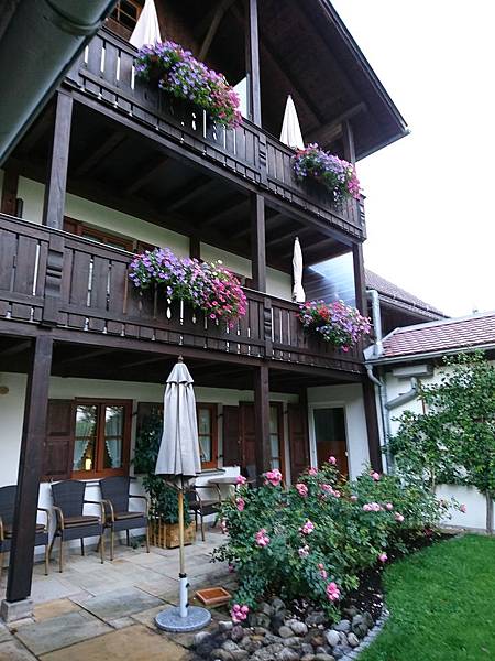 DSC_5377.JPG DSC_5377.JPG