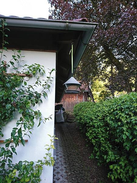 DSC_5378.JPG DSC_5378.JPG