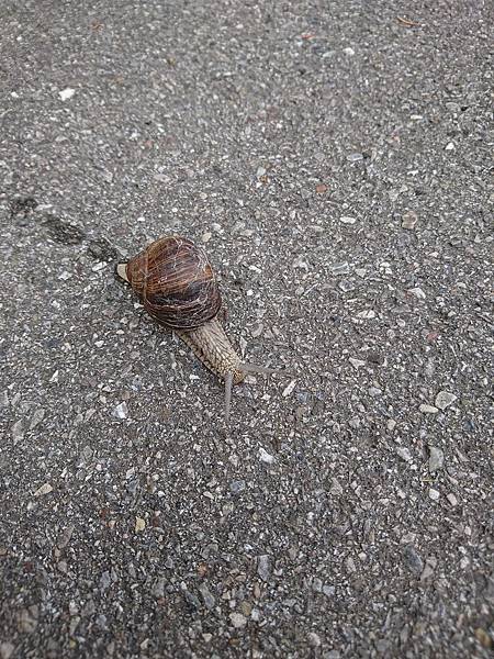 DSC_5390.JPG DSC_5390.JPG