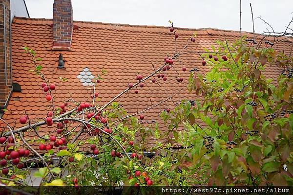 DSC07971.JPG DSC07971.JPG