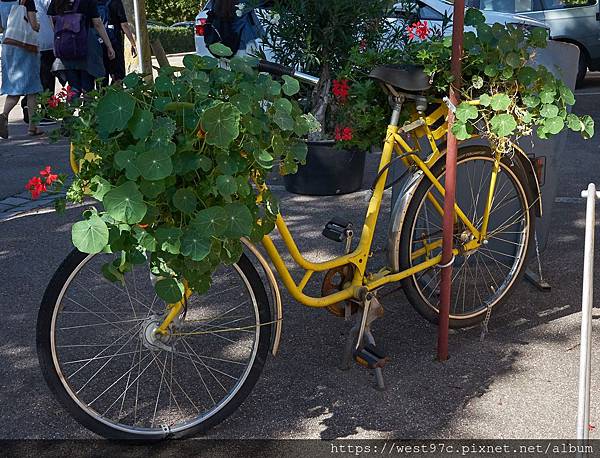 DSC08047_近照.jpg DSC08047_近照.jpg