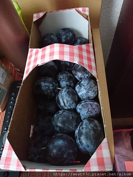 DSC_5614.JPG DSC_5614.JPG