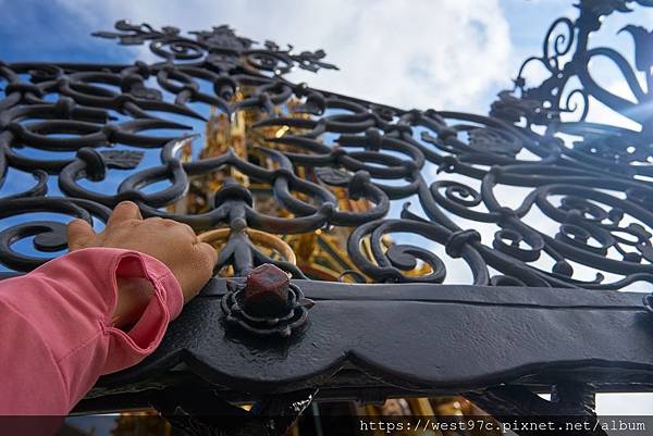 DSC08236_變色.jpg DSC08236_變色.jpg