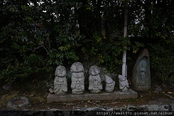 D2_嵐山1 D2_嵐山1