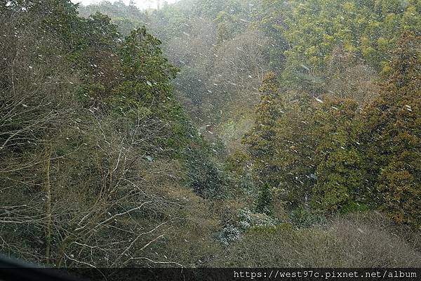 京都再訪IV_Day4 京都再訪IV_Day4