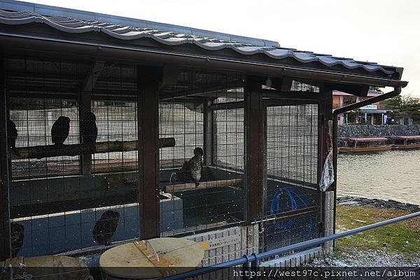 京都再訪IV_Day4 京都再訪IV_Day4