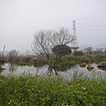 DSCN5753.JPG