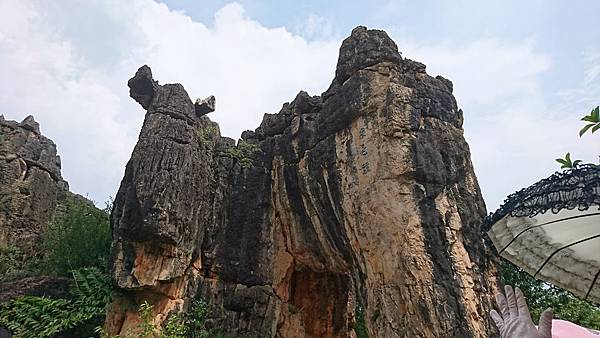 黑石箐石林草藥園區 (33).JPG