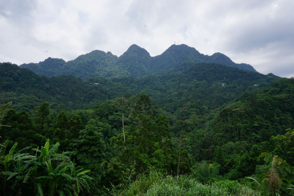 DSC05186.JPG DSC05186.JPG