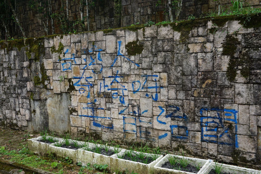 DSC05196.JPG DSC05196.JPG