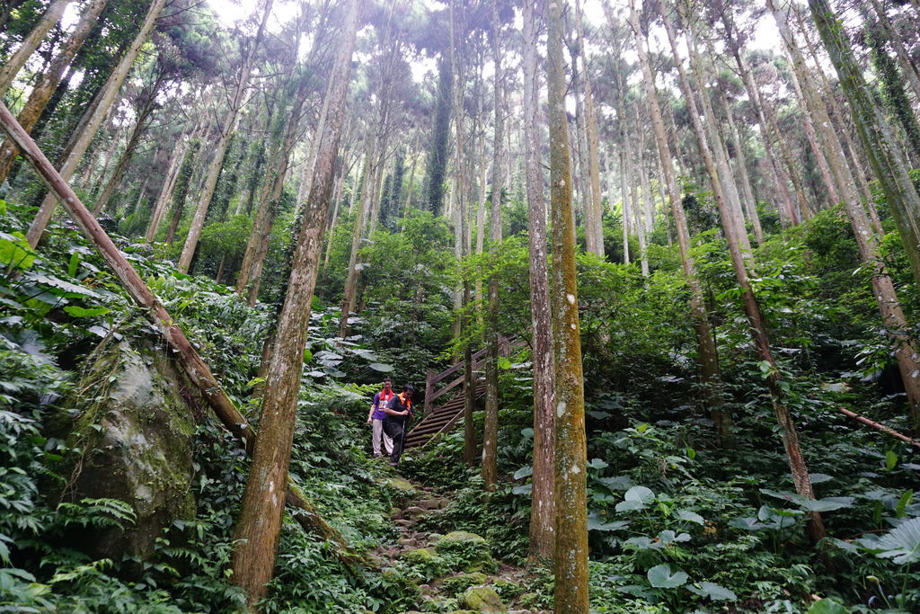 DSC05212.JPG DSC05212.JPG